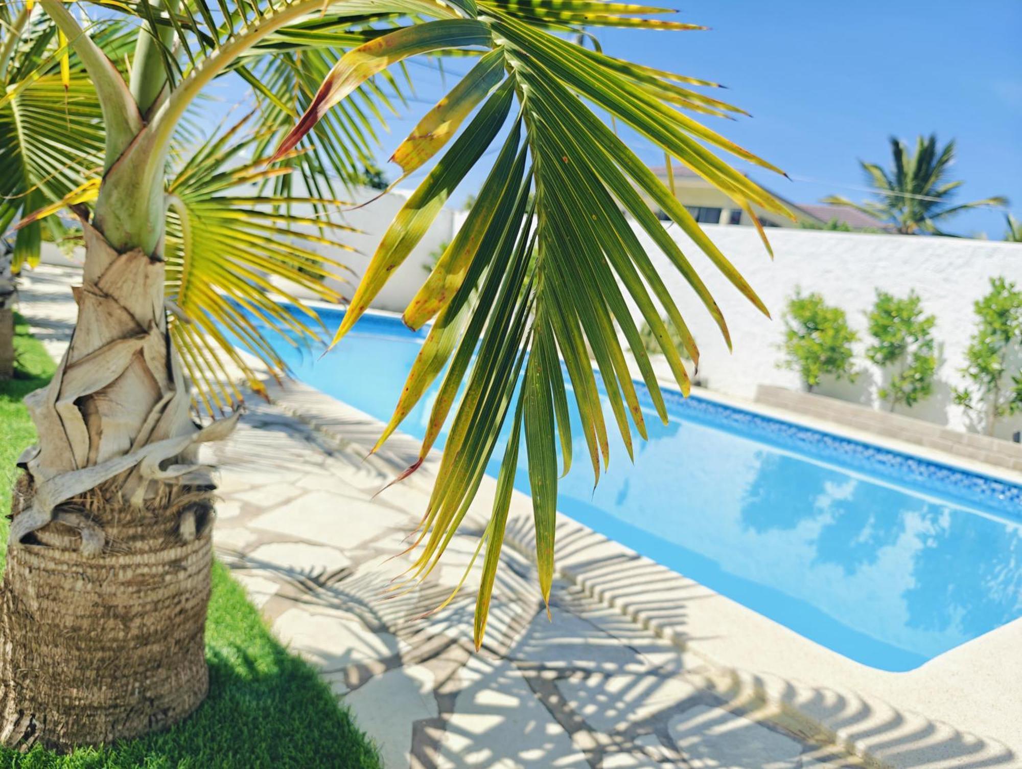 מלון Sosua Sweet Vacations מראה חיצוני תמונה